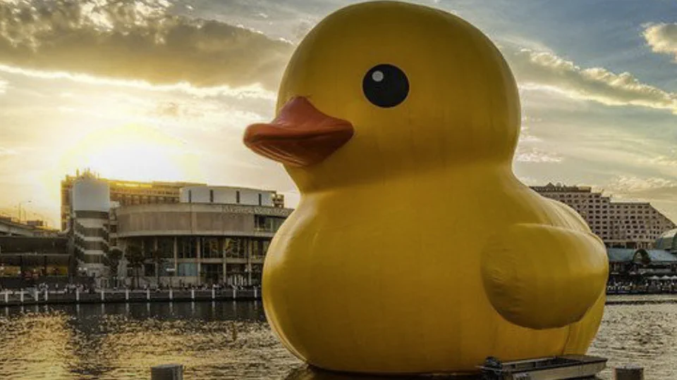 Canard screenshot